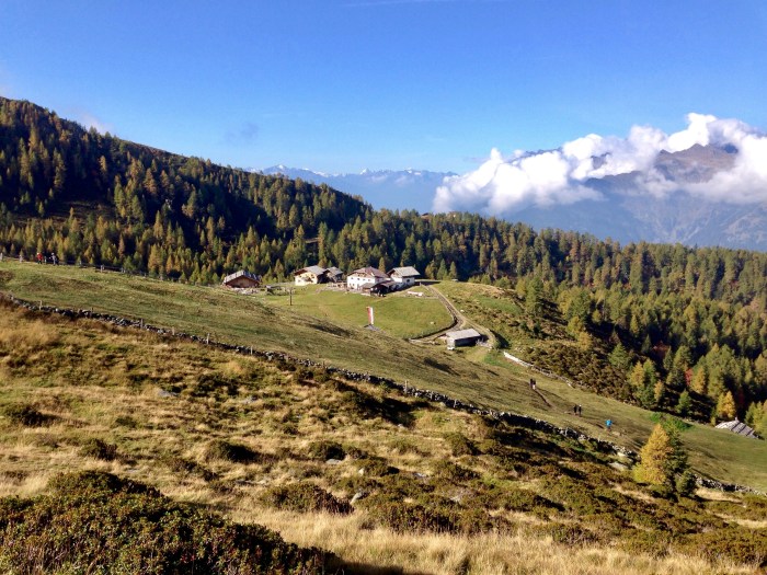 Mahd-Alm, Wanderung im Hirzerwandergebiet III