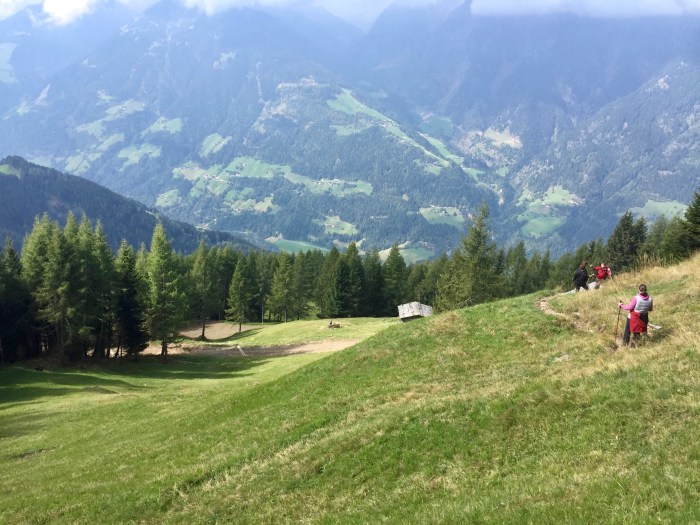 Mahd-Alm, Wanderung im Hirzerwandergebiet V