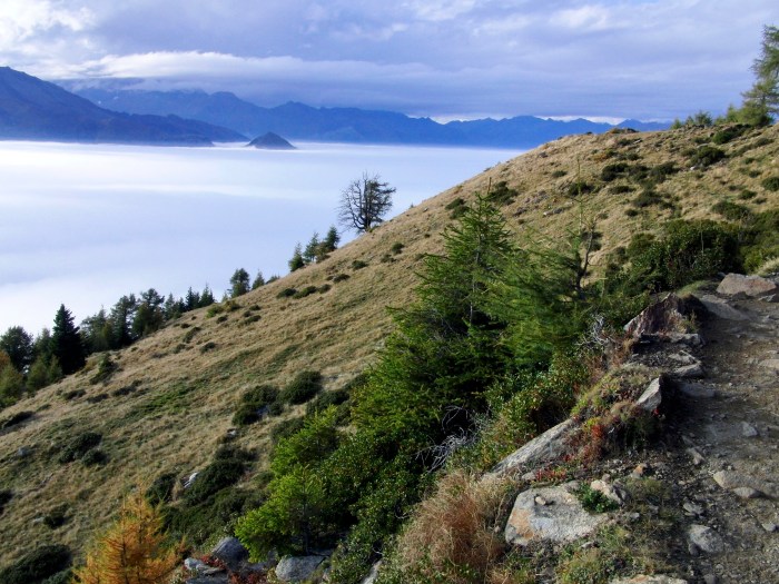 Mahd-Alm, Wanderung im Hirzerwandergebiet II