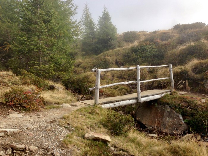 Mahd-Alm, Wanderung im Hirzerwandergebiet II