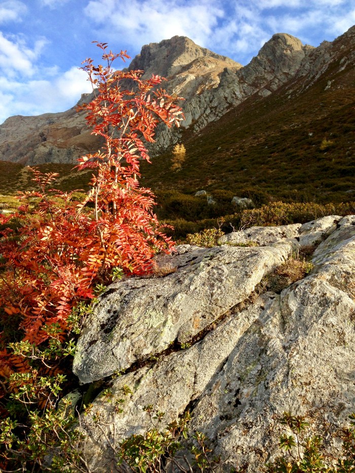Mahd-Alm, Wanderung im Hirzerwandergebiet II
