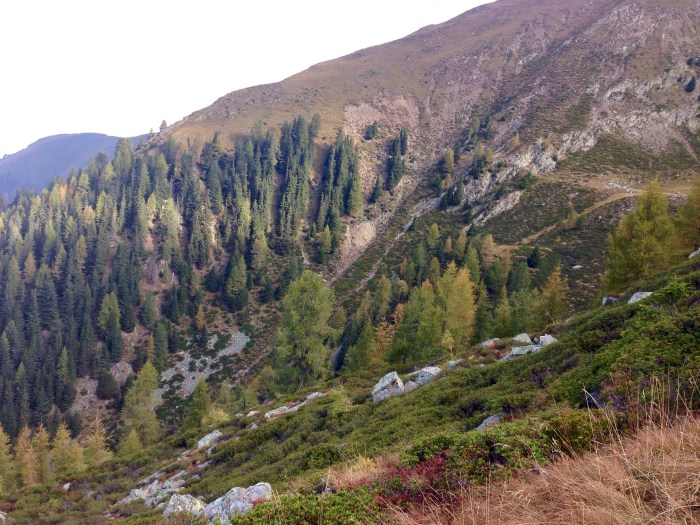Mahd-Alm, Wanderung im Hirzerwandergebiet IV