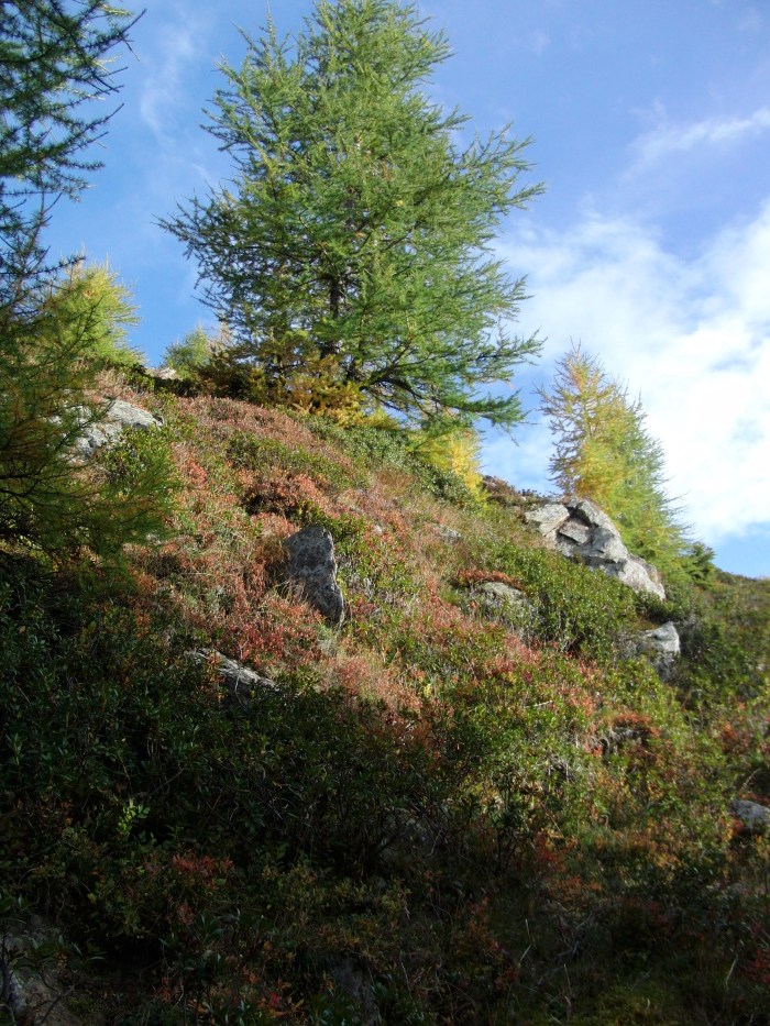 Mahd-Alm, Wanderung im Hirzerwandergebiet II