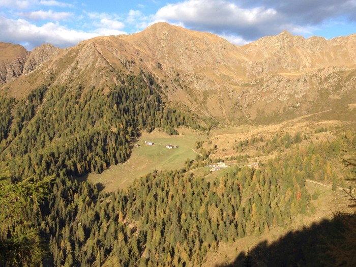 Mahd-Alm, Trentino, Südtirol