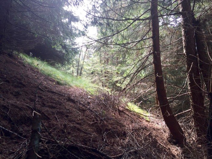 Mahd-Alm, Wanderung im Hirzerwandergebiet V