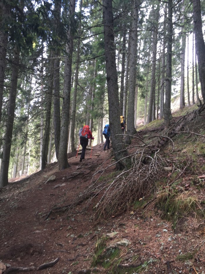 Mahd-Alm, Trentino, Südtirol