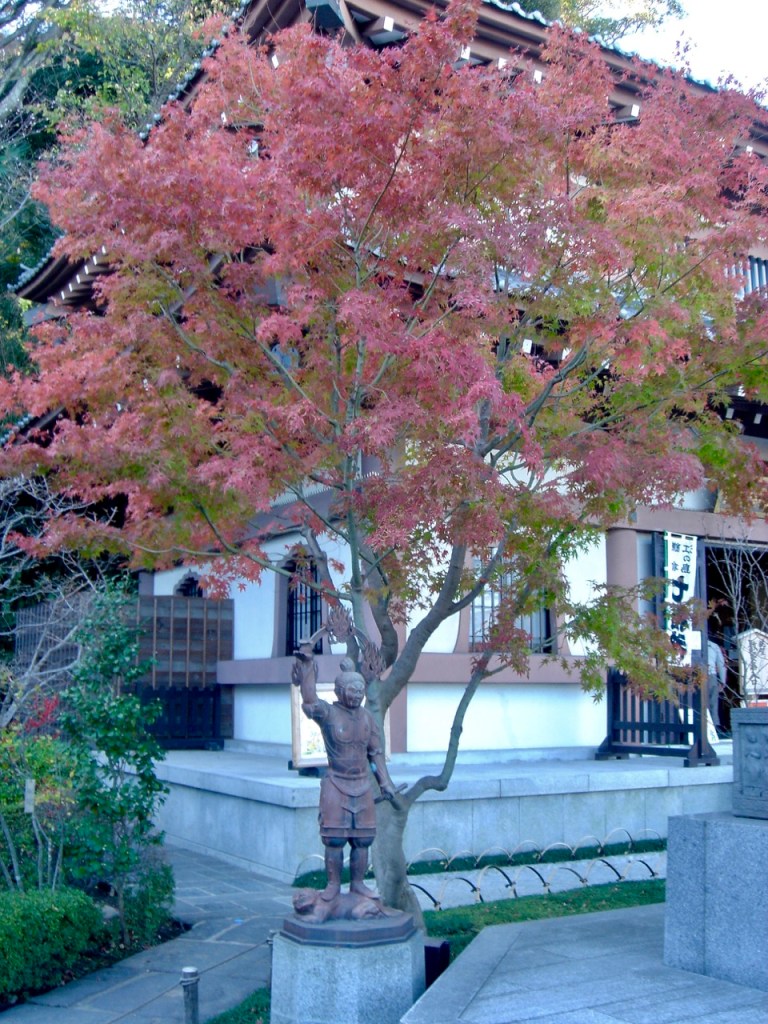 “Land der aufgehenden Sonne” VI, Hachiōji und Kamakura