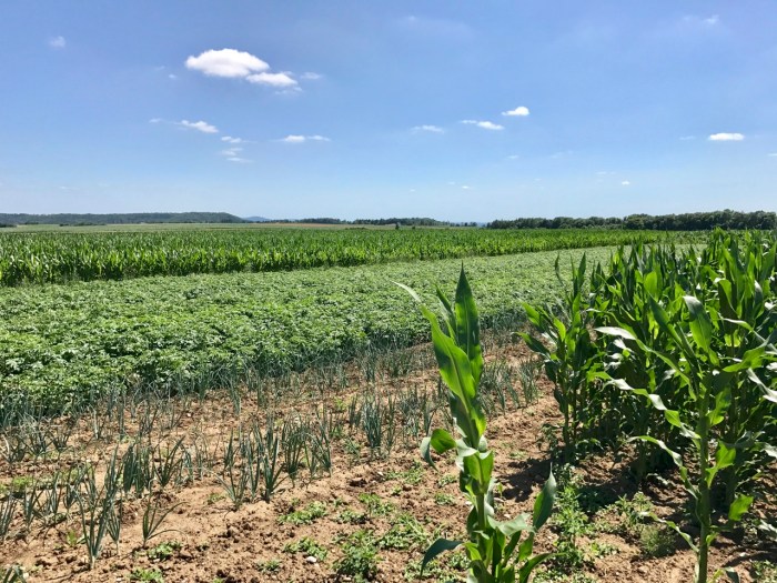 Hetzleser Berg mit Flughafen