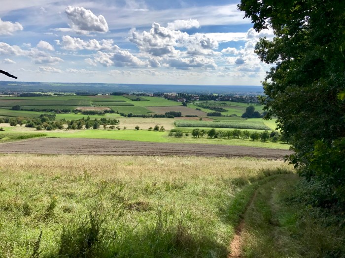 Blick auf Neunkirchen am Brand