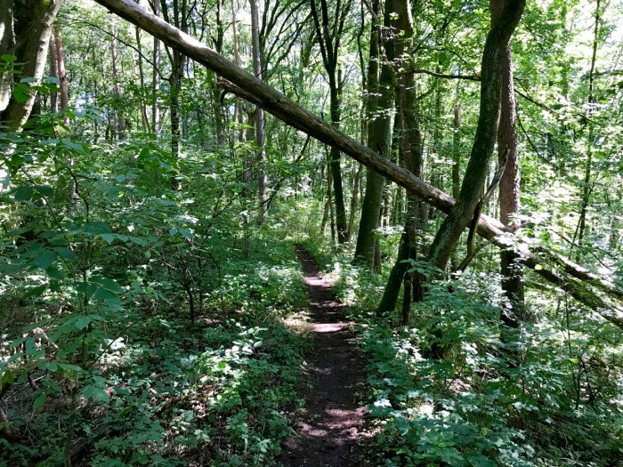 unmöglich für normale Tourenräder