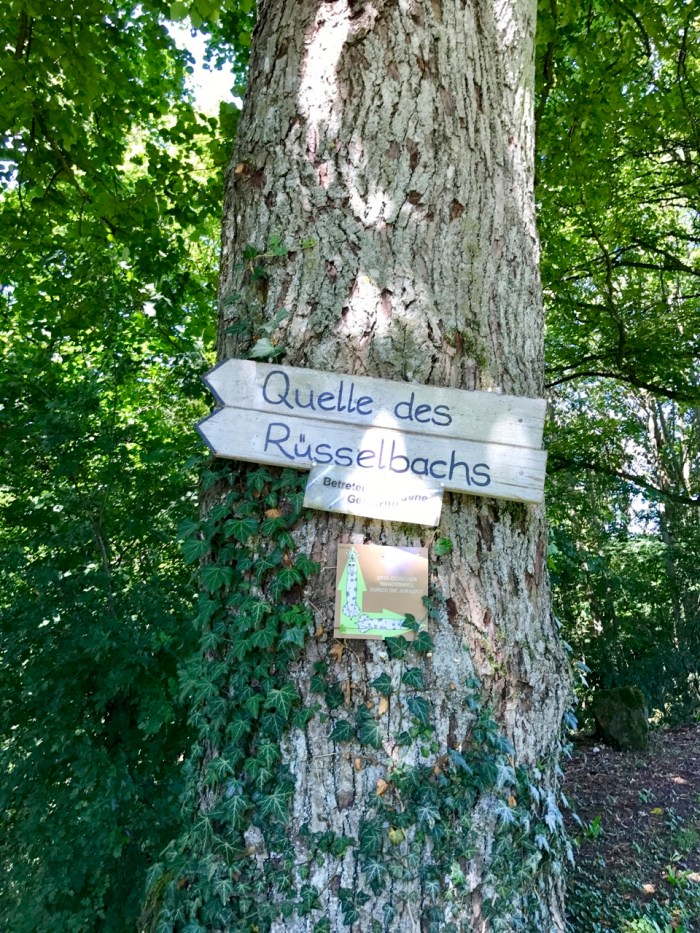 zur Quelle des Rüsselbach