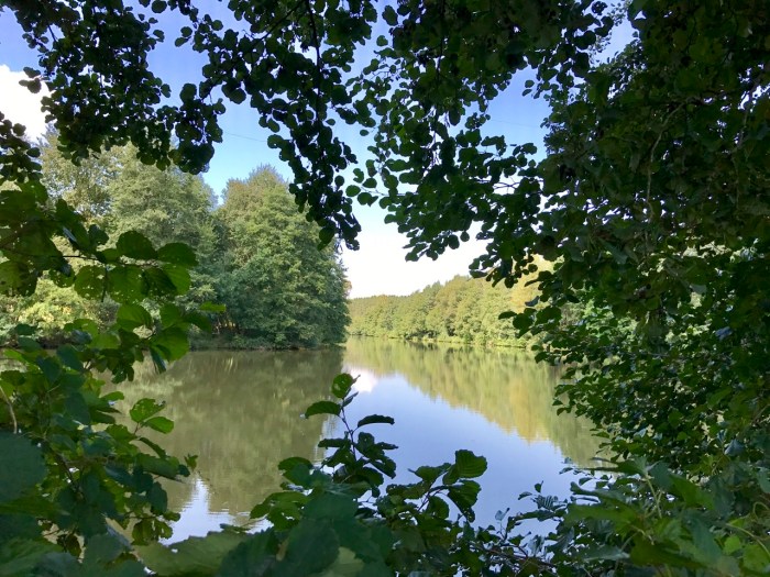 Mühlweiher