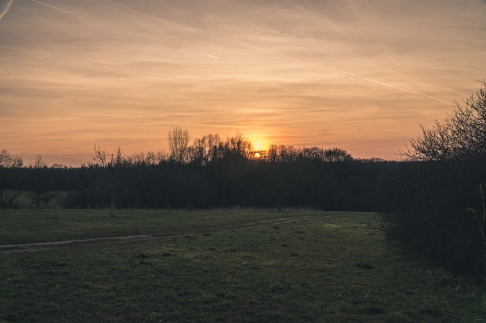 neulich-auf-dem-Weg-nach-Hause_