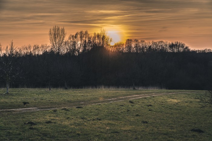 neulich-auf-dem-Weg-nach-Hause_1